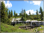 foto Panorama dal Monte Verena